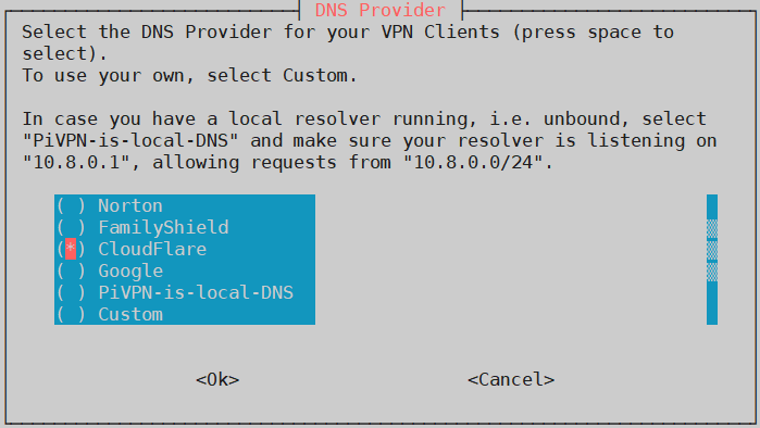 PiVPN Select DNS Provider