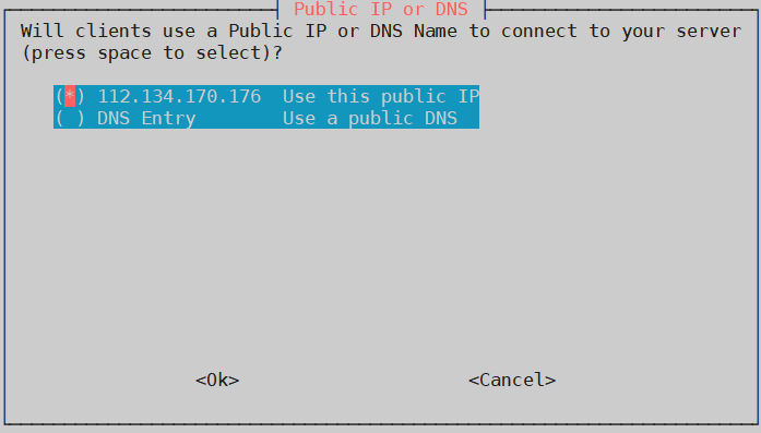 PiVPN Select Public IP Or DNS
