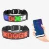 Pet Dog and Cats Collars with LED Lights are Night Luminous