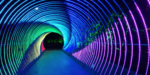 Create Magic with LED String Lights: Inspiration for LED Lovers 1 Create Magic with LED String Lights, Inspiration for LED Lovers 1