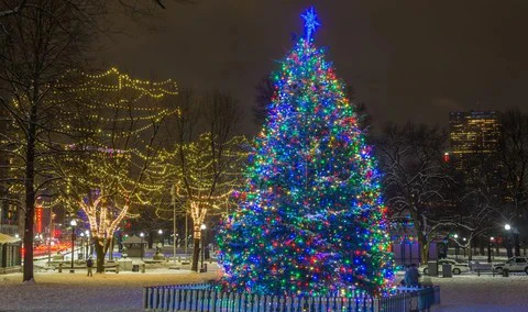 Create Magic with LED String Lights: Inspiration for LED Lovers 2 Create Magic with LED String Lights, Inspiration for LED Lovers 2